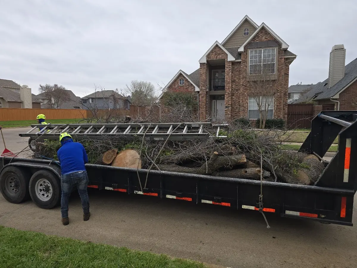 Expert Lot Clearing with proper safety equipment in Roscoe